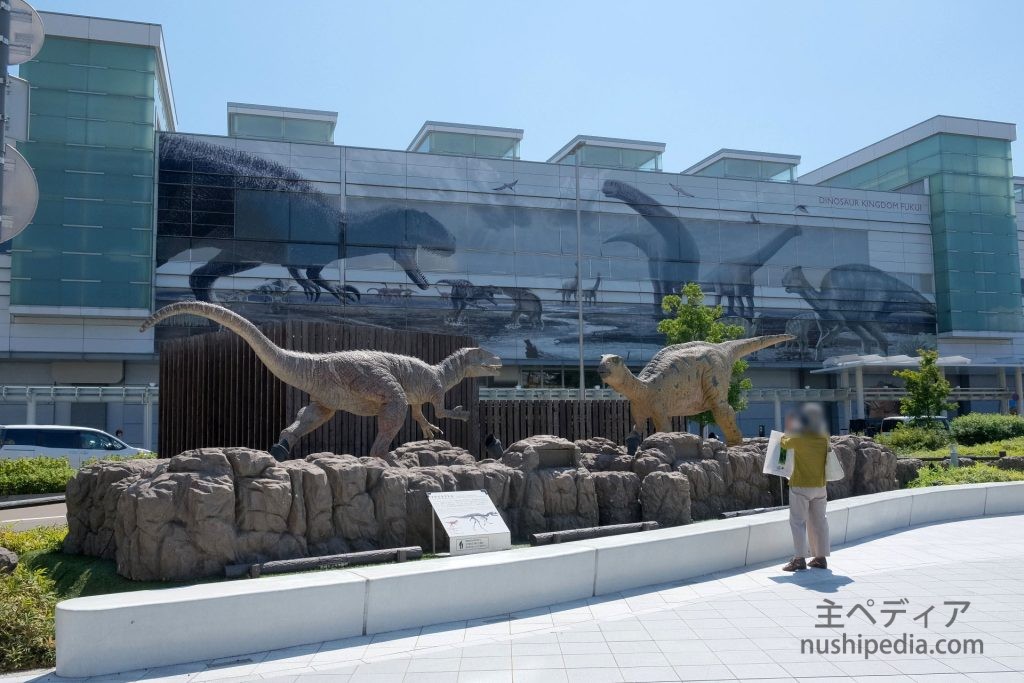 フクイラプトルとフクイサウルス