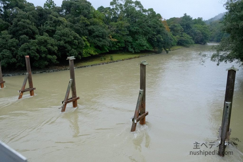 増水した五十鈴川と木除杭